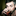 favicon blog.wladimirkaminer.de